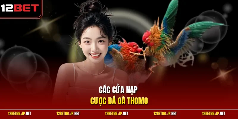 Các cửa nạp & cược đá gà Thomo