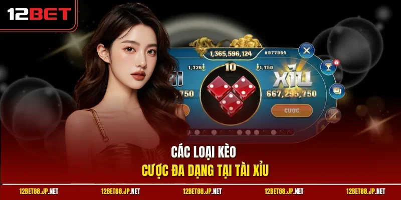 Các loại kèo cược đa dạng tại tài xỉu 