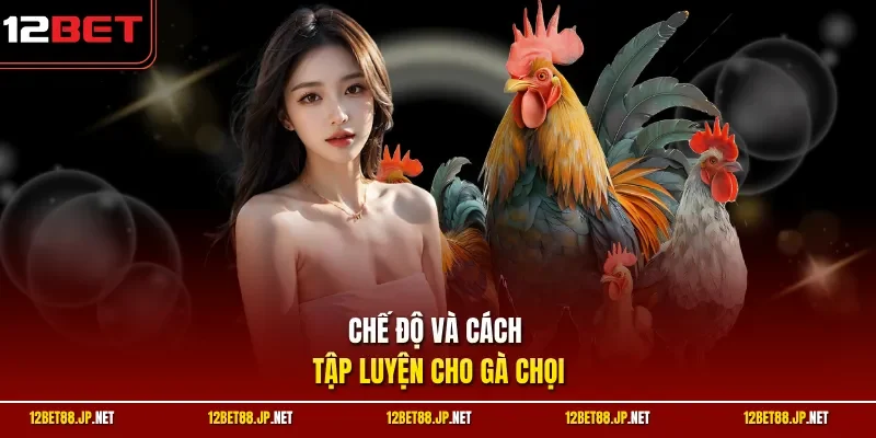 Chế độ và cách tập luyện cho gà chọi