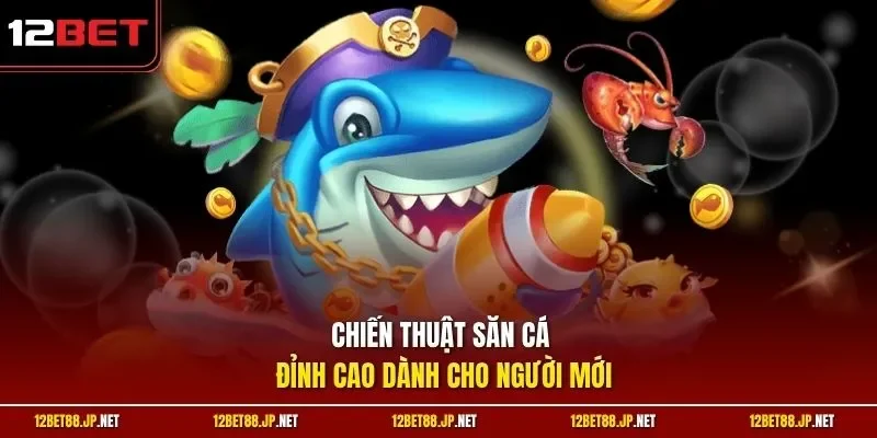  Chiến thuật săn cá đỉnh cao dành cho người mới