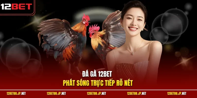 Đá gà 12BET phát sóng trực tiếp rõ nét