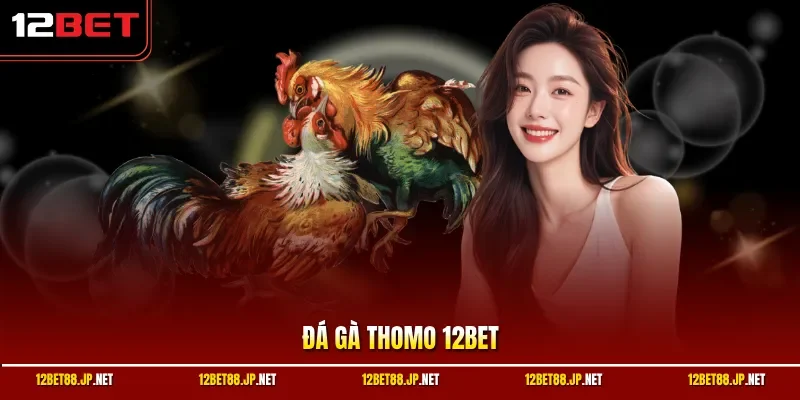 Đá gà Thomo