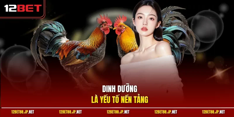 Dinh dưỡng là yếu tố nền tảng