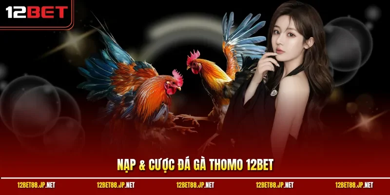 Nạp & cược đá gà Thomo