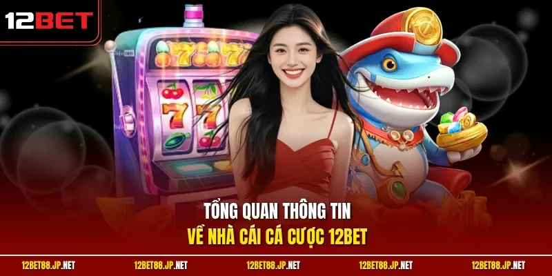 Tổng quan thông tin về nhà cái cá cược 12BET